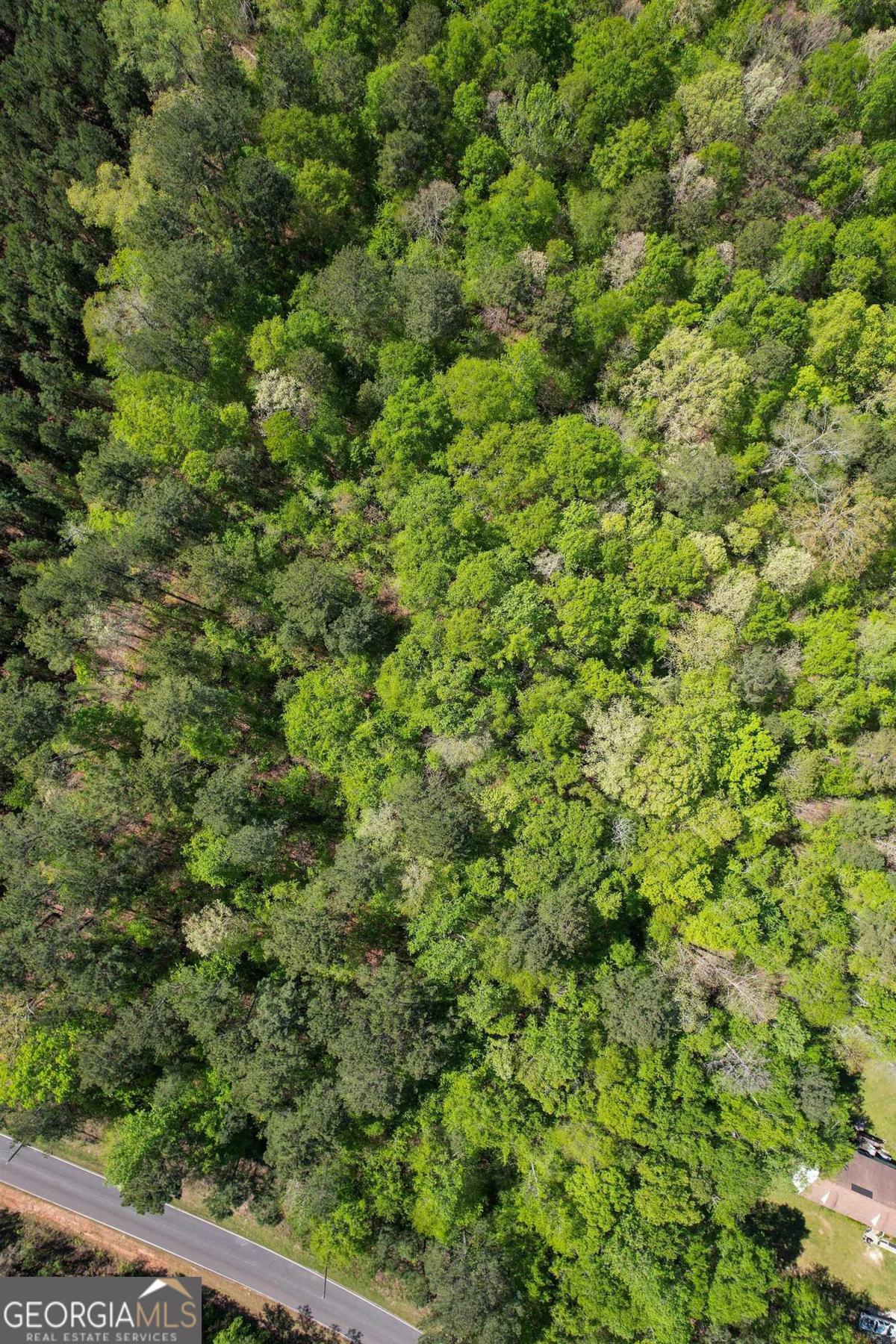 Lot 11 Old Copelan Road Eatonton, GA 31024 - Photo 5 of 6