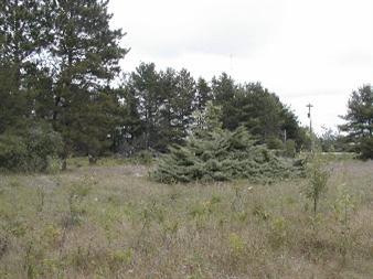 50 West Hoague Road Manistee, MI 49660 - Photo 2 of 4 Additional Photo
