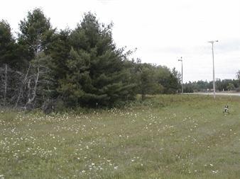 50 West Hoague Road Manistee, MI 49660 - Photo 3 of 4 Additional Photo