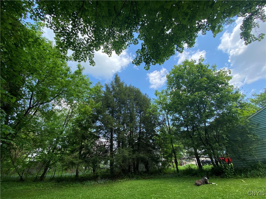 102 Hopson Street Utica, NY 13502 - Photo 5 of 23