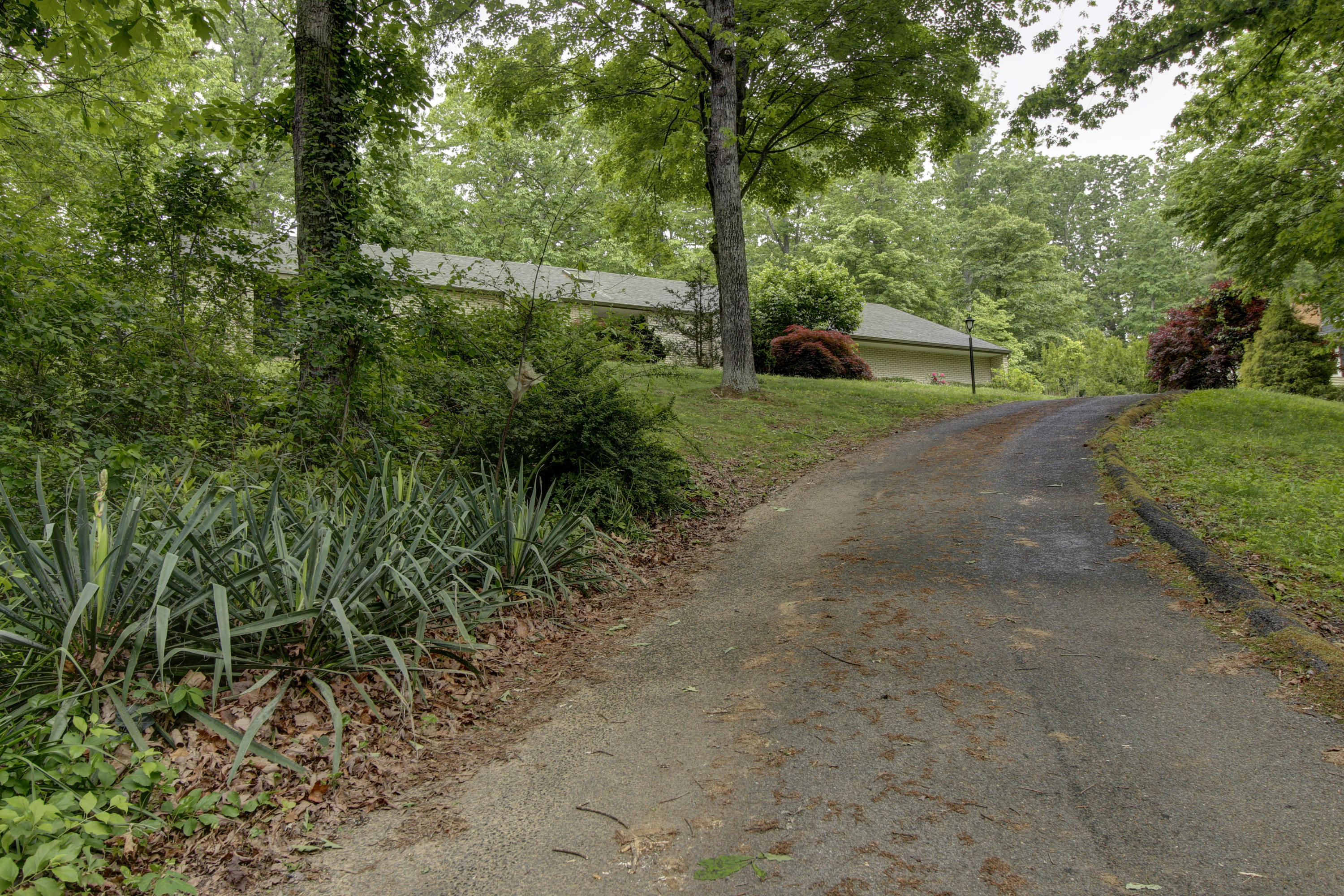 4947 Greenlee Road Southwest Roanoke, VA 24018 - Photo 24 of 24 _MG_5372_3_4