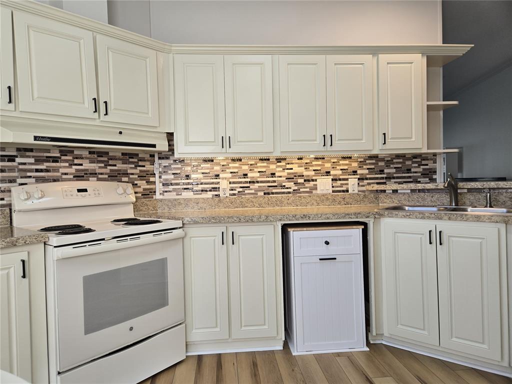 4146 Greenbluff Road, Unit 817 Zellwood, FL 32798 - Photo 15 of 40 a kitchen with granite countertop white cabinets and white appliances