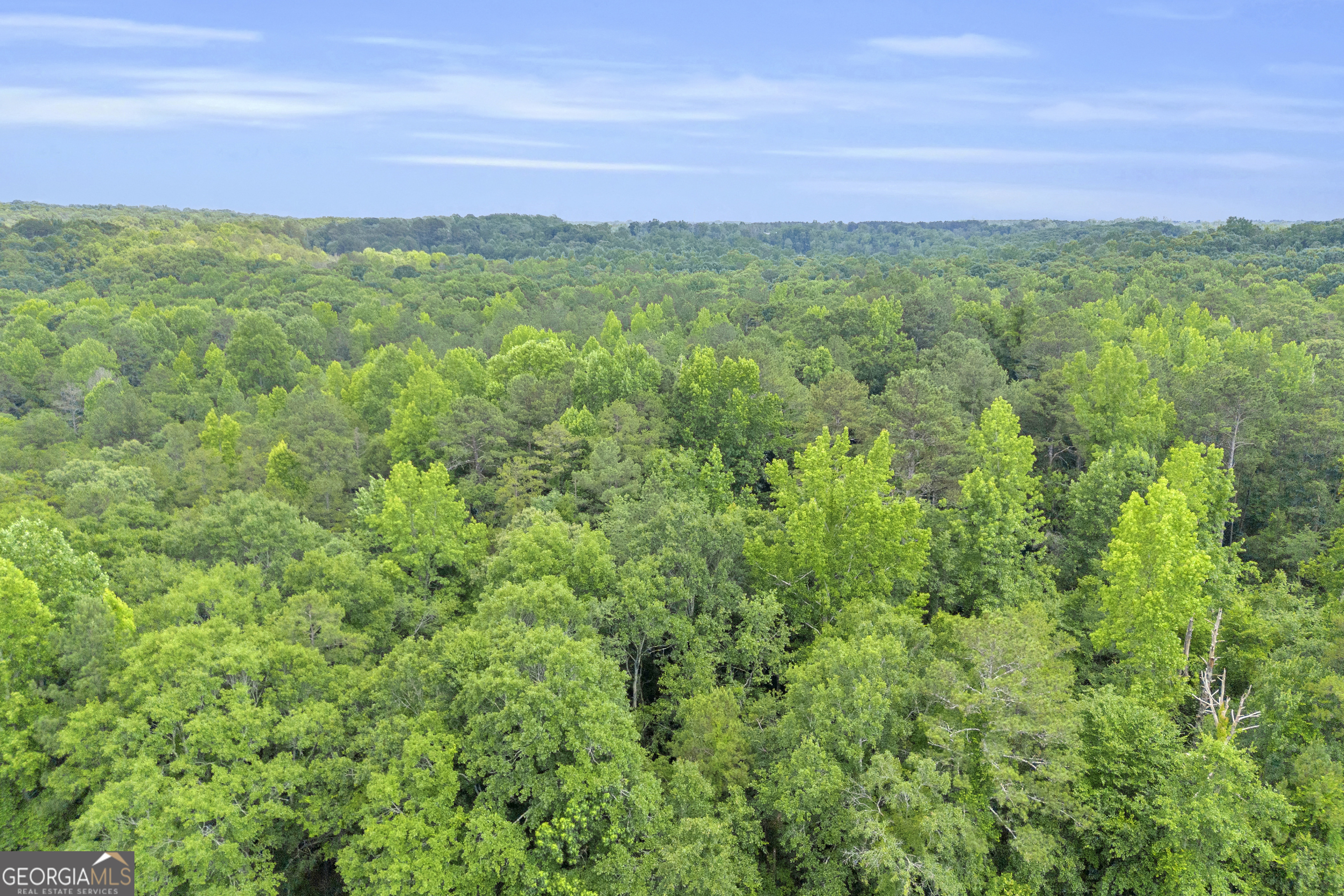 1655 Cleveland Road Bogart, GA 30622 - Photo 18 of 19