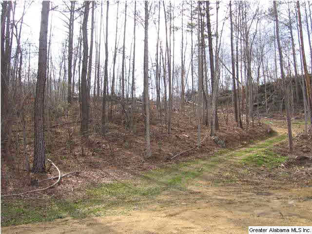 720 Sportsman Lake Road, Unit 4 2 AC Springville, AL 35146 - Photo 9 of 14