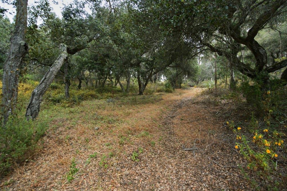0 Valle Pacifico Road Salinas, CA 93907 - Photo 24 of 45