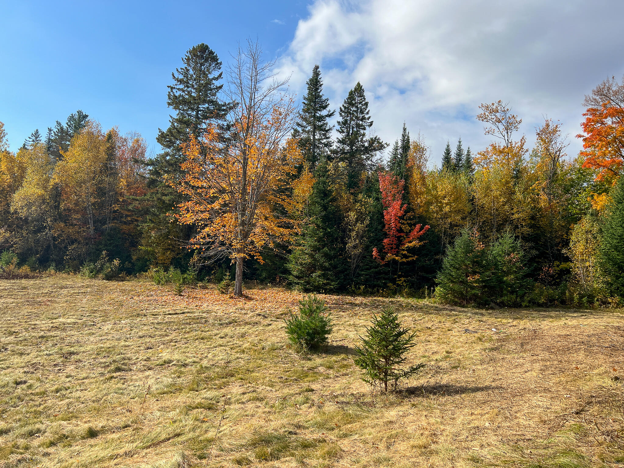 14 Log Cabin Lane Topsfield, ME 04490 - Photo 10 of 30 10
