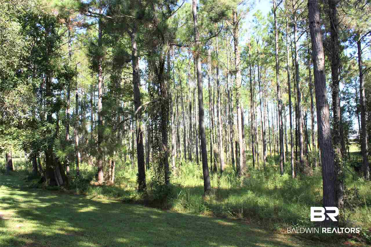 13768 Trawick Road Stapleton, AL 36578 - Photo 27 of 31