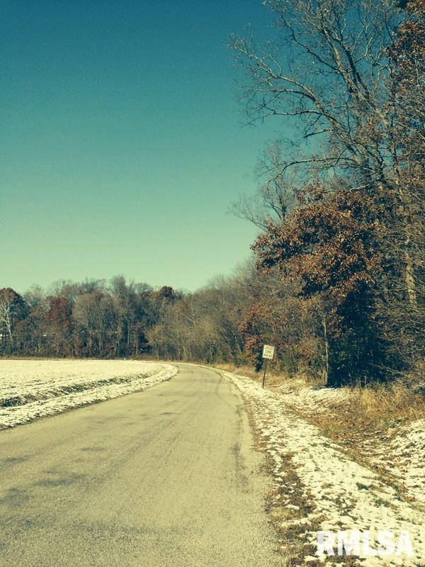Tbd Morgan School Road Jonesboro, IL 62952 - Photo 7 of 7 Gallery Image 7