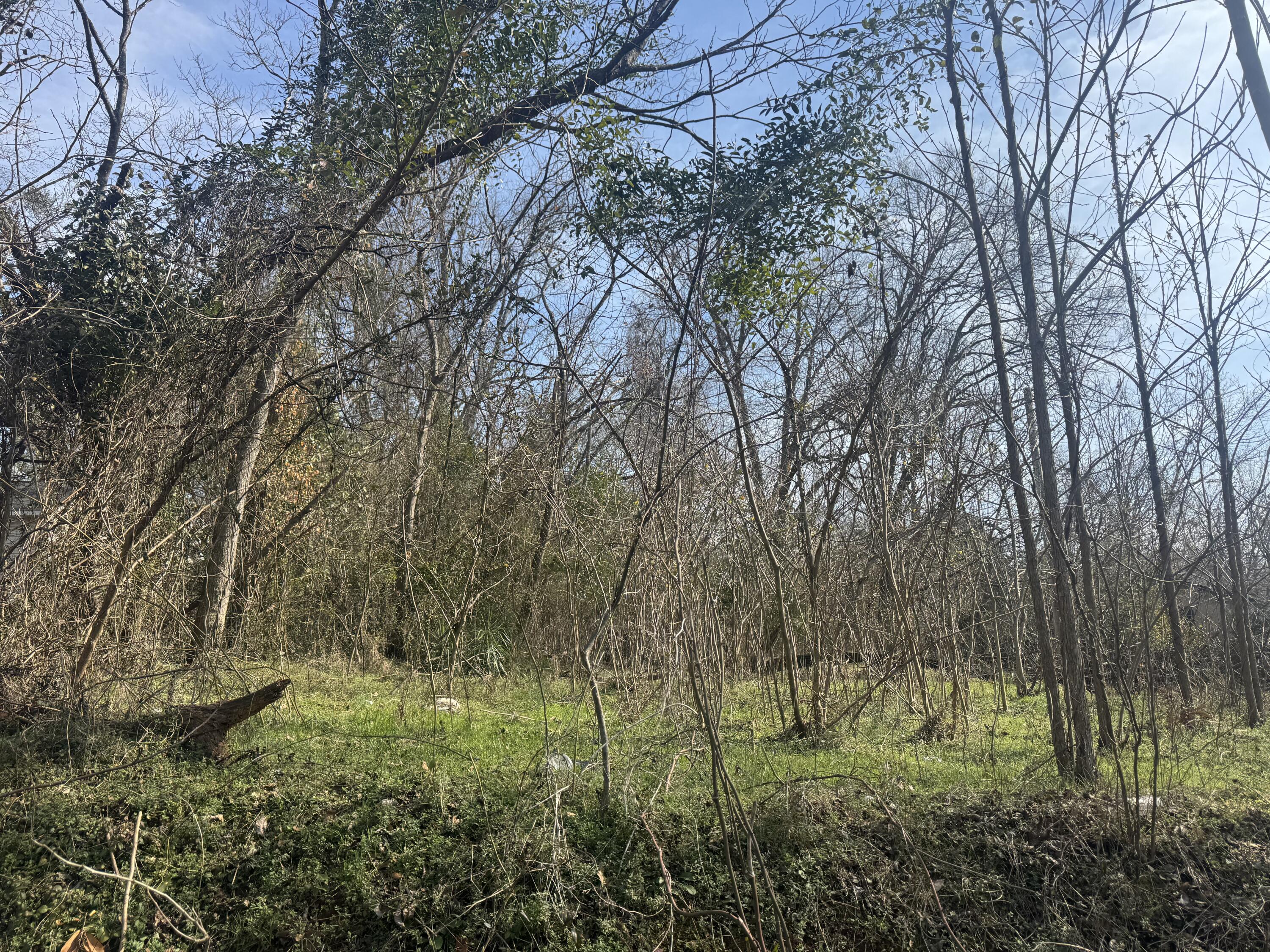 203 Peter Street Washington, GA 30673 - Photo 2 of 2 IMG_8402