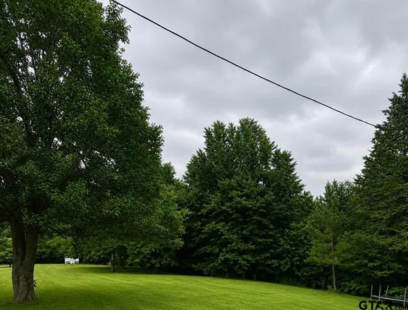 $250,000 | 4510 County Road 4510, Winnsboro, TX 75494