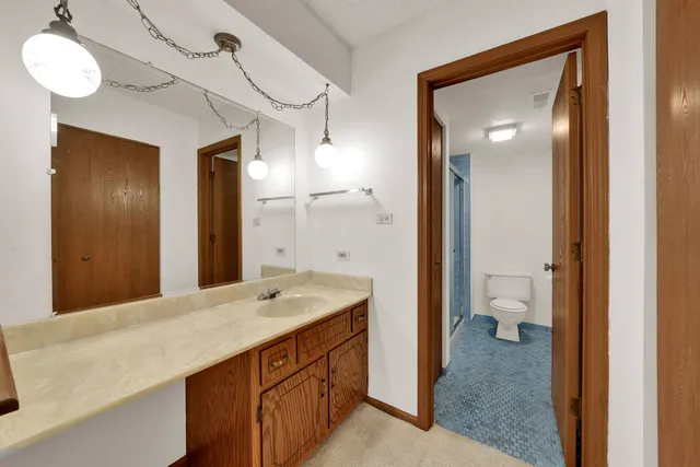 a bathroom with a sink a toilet and a large mirror
