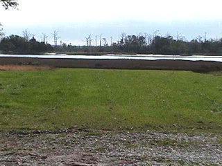 161 Shell Rock Lane Hubert, NC 28539 - Photo 1 of 1 Listing Photo