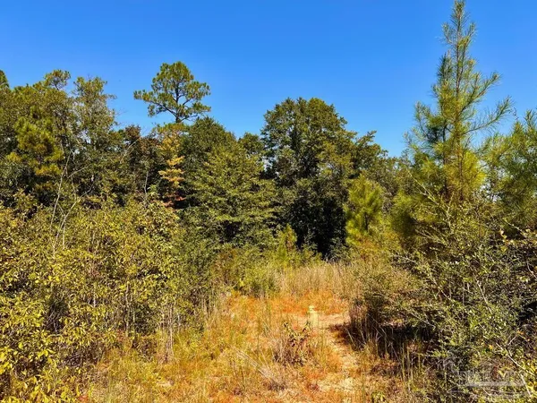 $170,000 | Lot 8 Sounder Drive, Molino, FL 32577