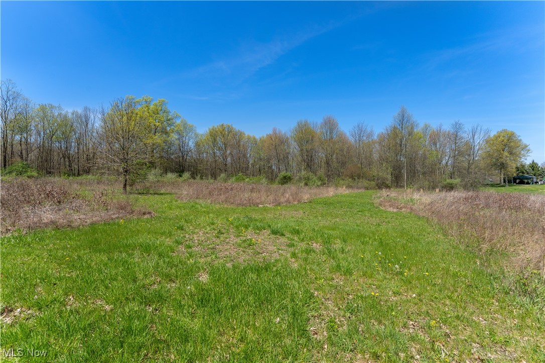 12043 Ellsworth Road North Jackson, OH 44451 - Photo 42 of 42 Gallery Image 42