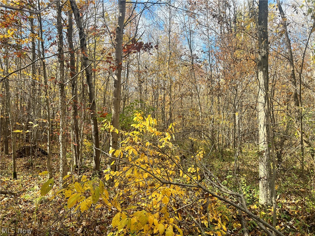 Marrian Road Dorset, OH 44032 - Photo 20 of 28