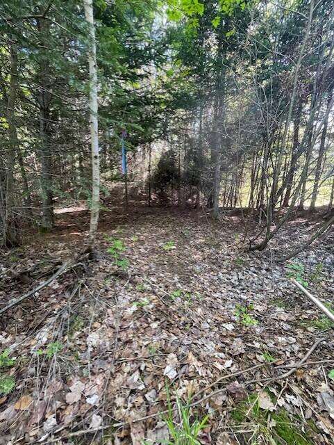 339 Long Pond Road Jackman, ME 04945 - Photo 16 of 30