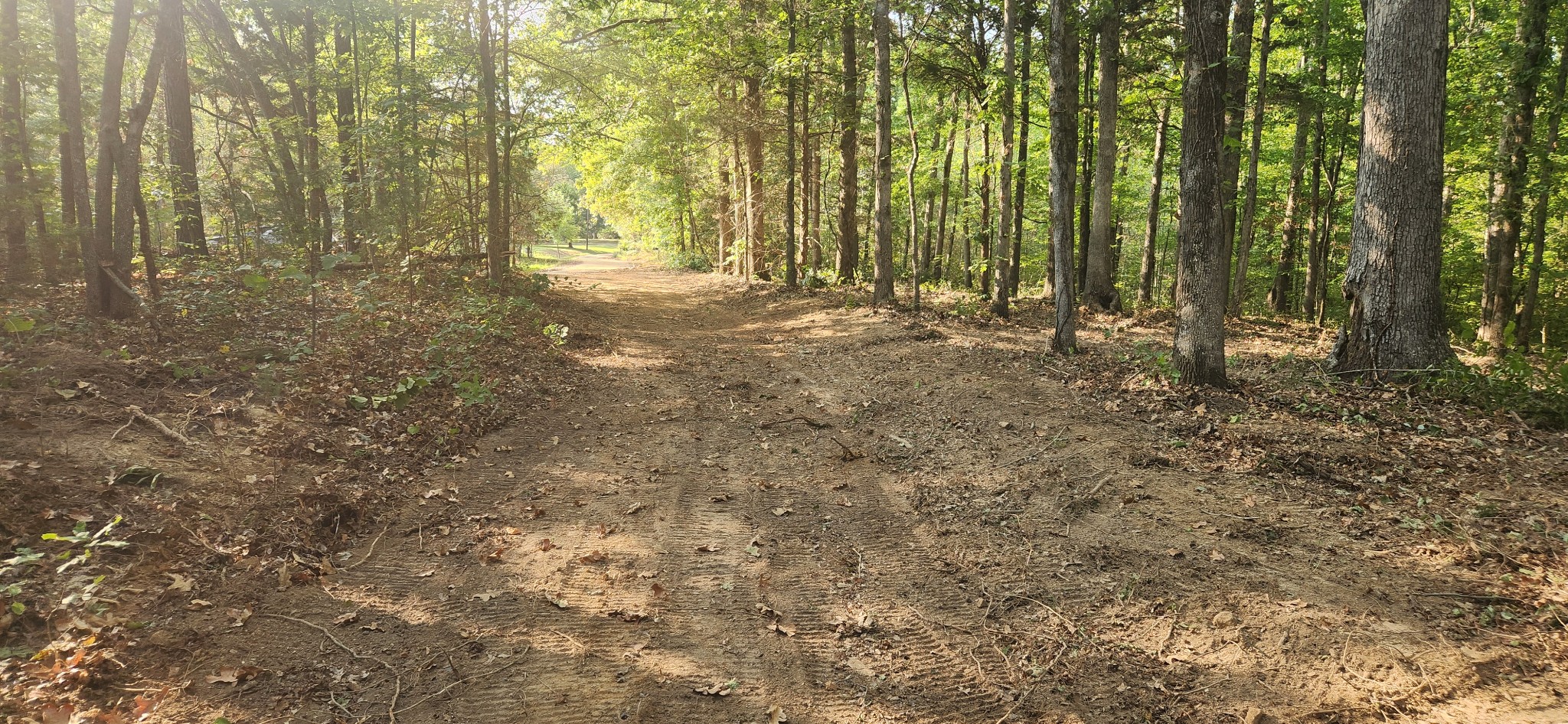 0 Mcclanahan Road Only, TN 37140 - Photo 1 of 12 From the property looking up the new driveway to McClanahan Rd.