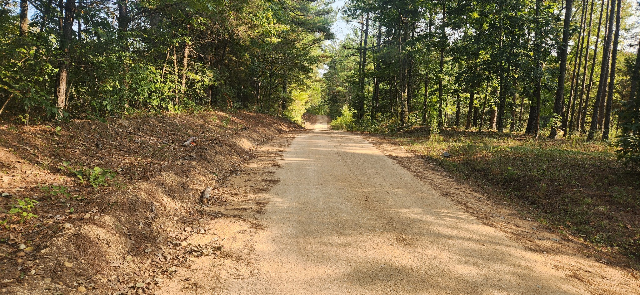 0 Mcclanahan Road Only, TN 37140 - Photo 11 of 12 Looking down McClanahan Rd. Property is on your left. 1/2 mile away is the paved Brown Bend Rd.