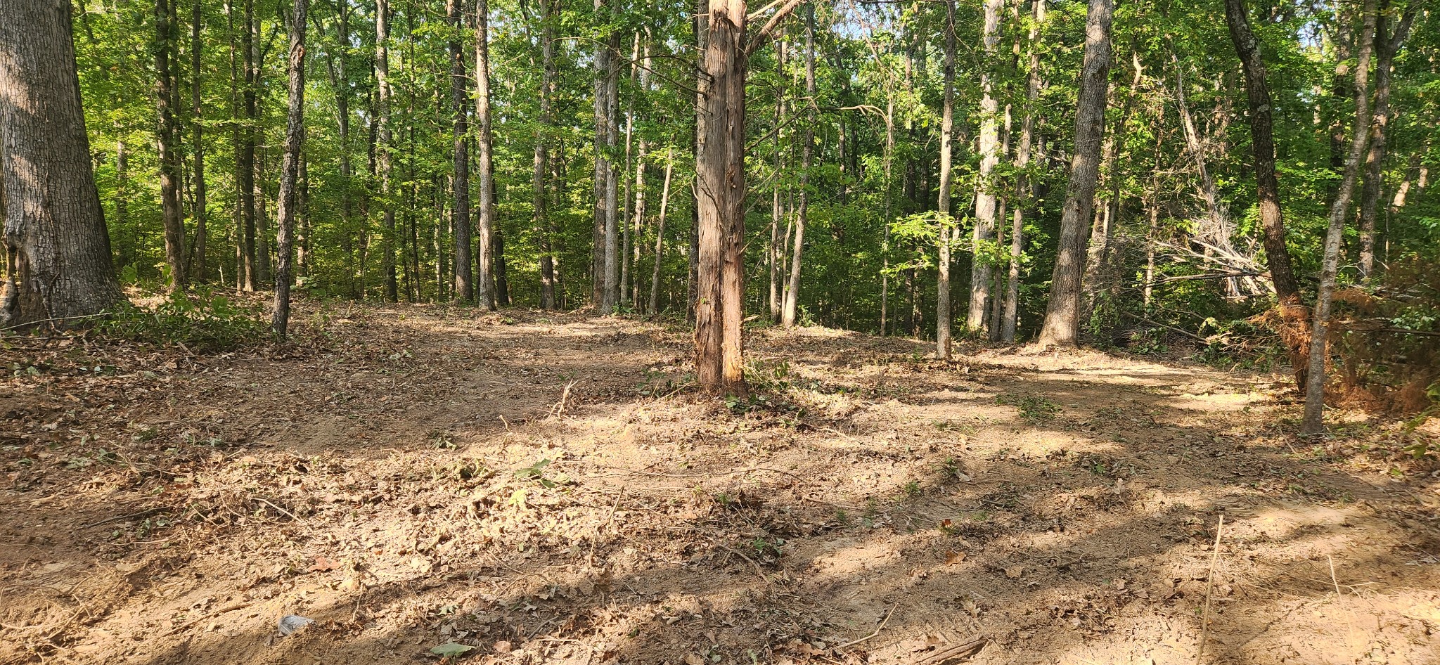 0 Mcclanahan Road Only, TN 37140 - Photo 4 of 12 View of the recently cleared house site.