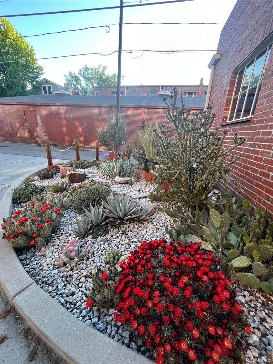 943 Emerson Street, Unit 4 Denver, CO 80218 - Photo 16 of 17 a view of a backyard with sitting area