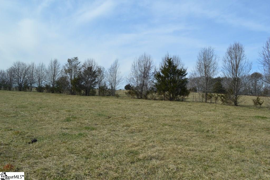0 Wilson Road Central, SC 29630 - Photo 12 of 17