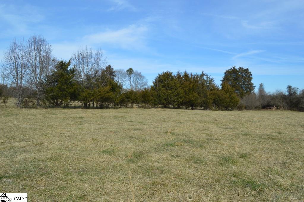 0 Wilson Road Central, SC 29630 - Photo 13 of 17
