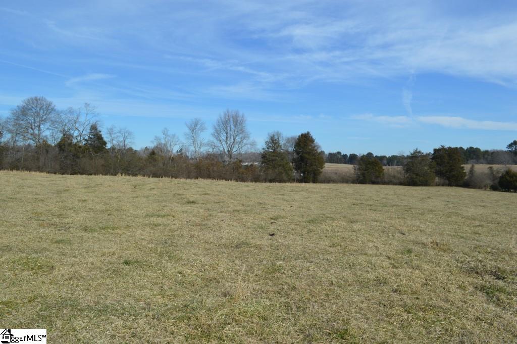 0 Wilson Road Central, SC 29630 - Photo 16 of 17