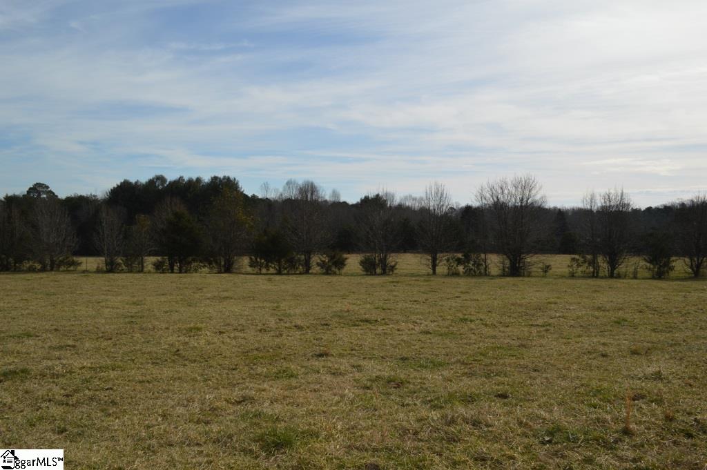 0 Wilson Road Central, SC 29630 - Photo 2 of 17