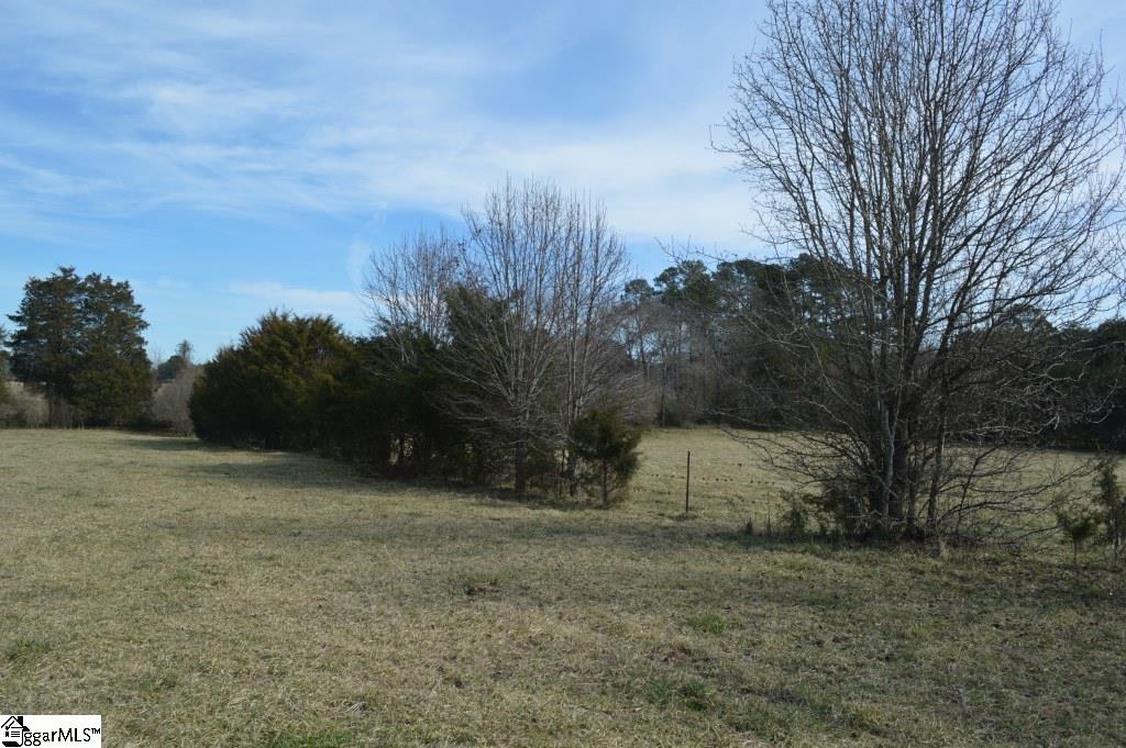 0 Wilson Road Central, SC 29630 - Photo 4 of 17