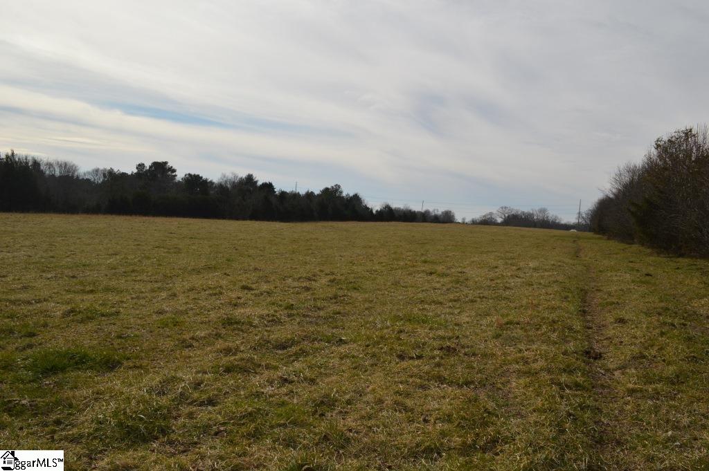0 Wilson Road Central, SC 29630 - Photo 6 of 17