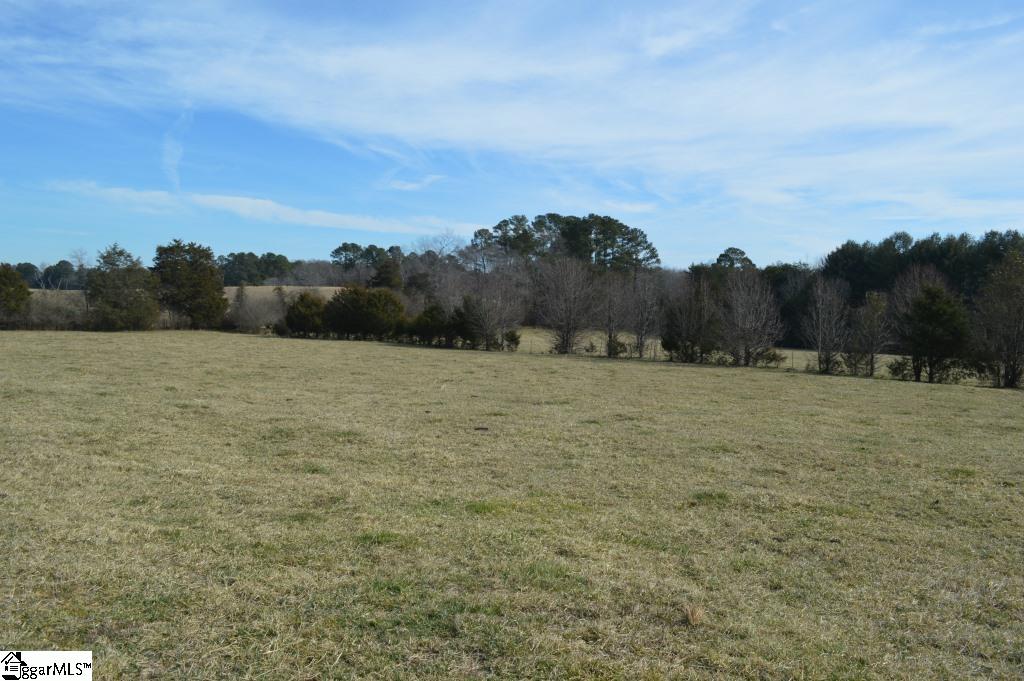 0 Wilson Road Central, SC 29630 - Photo 8 of 17