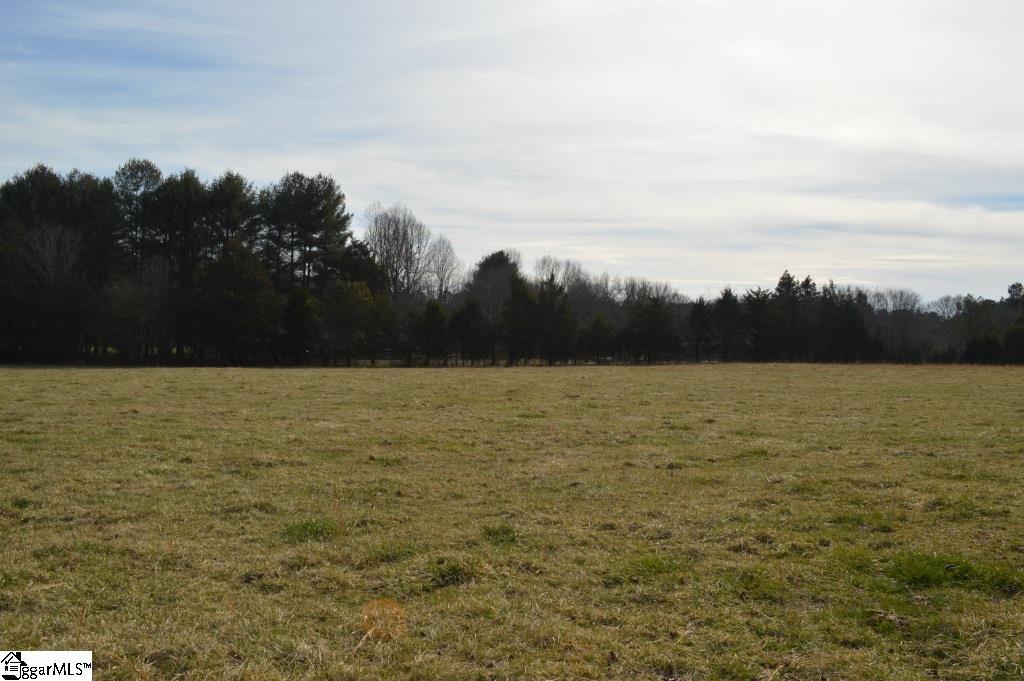 0 Wilson Road Central, SC 29630 - Photo 10 of 17
