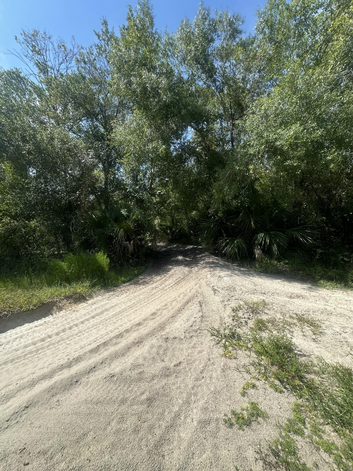 22128 Northwest 258th Street Okeechobee, FL 34972 - Photo 3 of 7 a view of backyard and yard