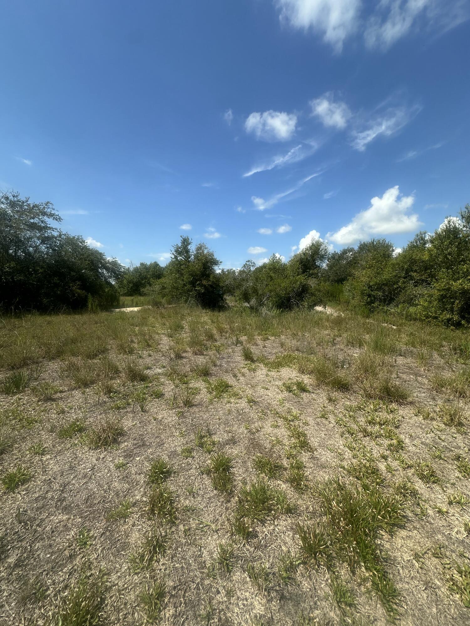 22128 Northwest 258th Street Okeechobee, FL 34972 - Photo 6 of 7 a view of a lake with a yard