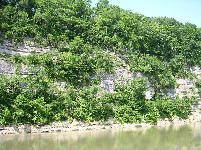 9707 Camp Daniel Boone Road Lexington, KY 40515 - Photo 5 of 37 Photo 5