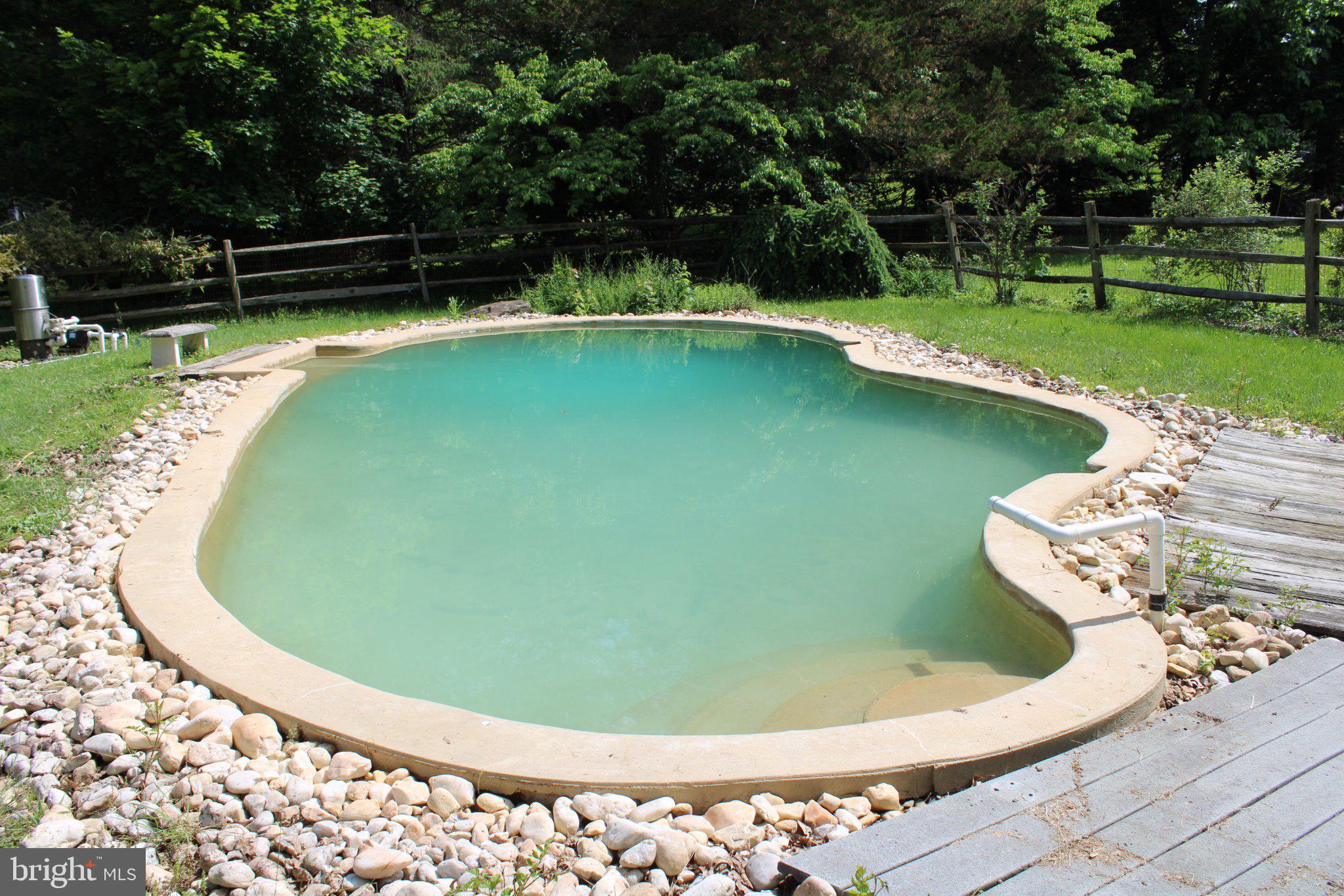 223 Trythall Road Elverson, PA 19520 - Photo 74 of 78 Serene pool nestled in lush greenery.