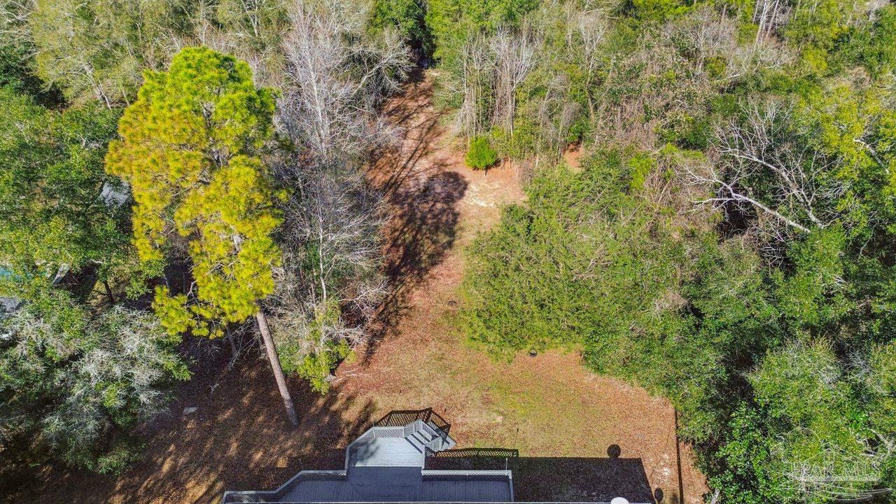 4900 Shell Road Milton, FL 32583 - Photo 49 of 52 a view of banana tree