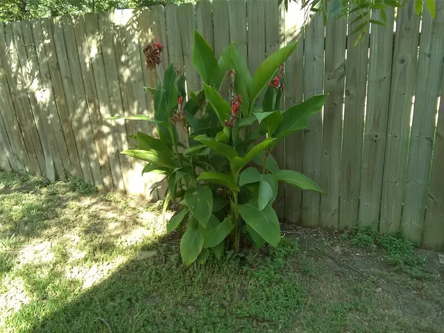a backyard of a house