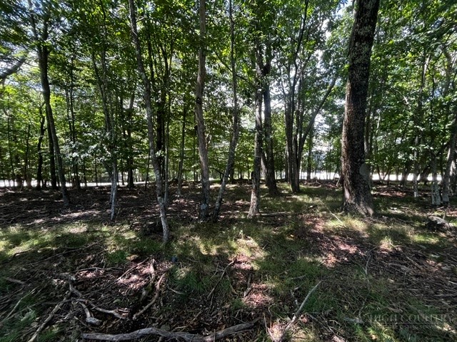 208 Pine Ridge Road Beech Mountain, NC 28604 - Photo 8 of 10 Gallery Image 8