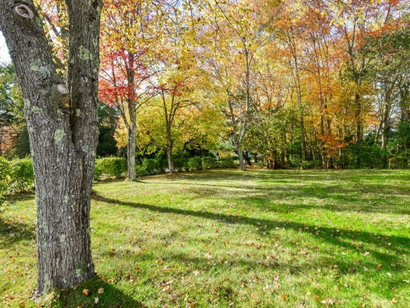 30 Rachael Circle Easton, MA 02375 - Photo 8 of 30 Gallery Image 8