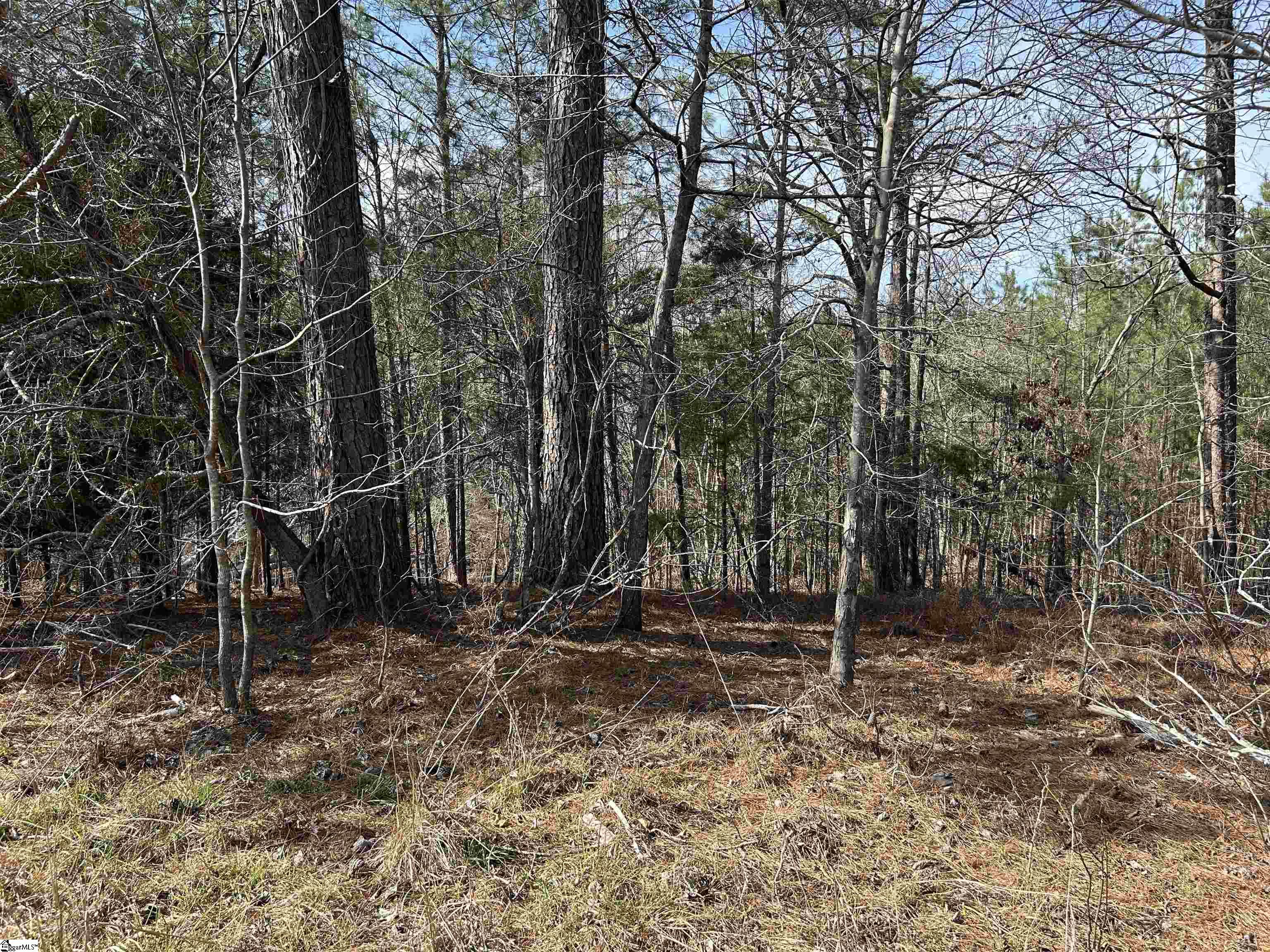 0 Old Goldmine Road Troy, SC 29848 - Photo 11 of 16