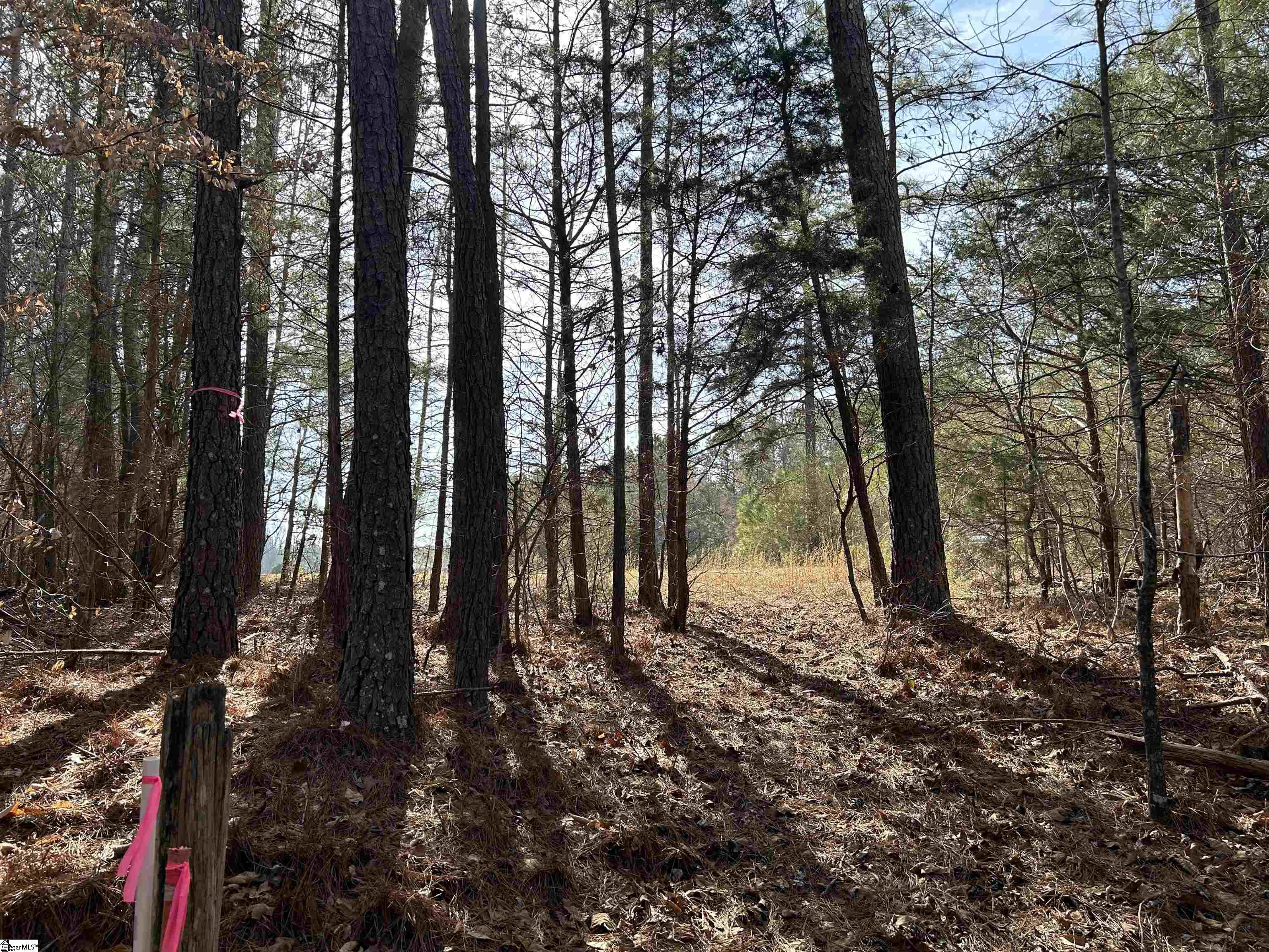 0 Old Goldmine Road Troy, SC 29848 - Photo 13 of 16