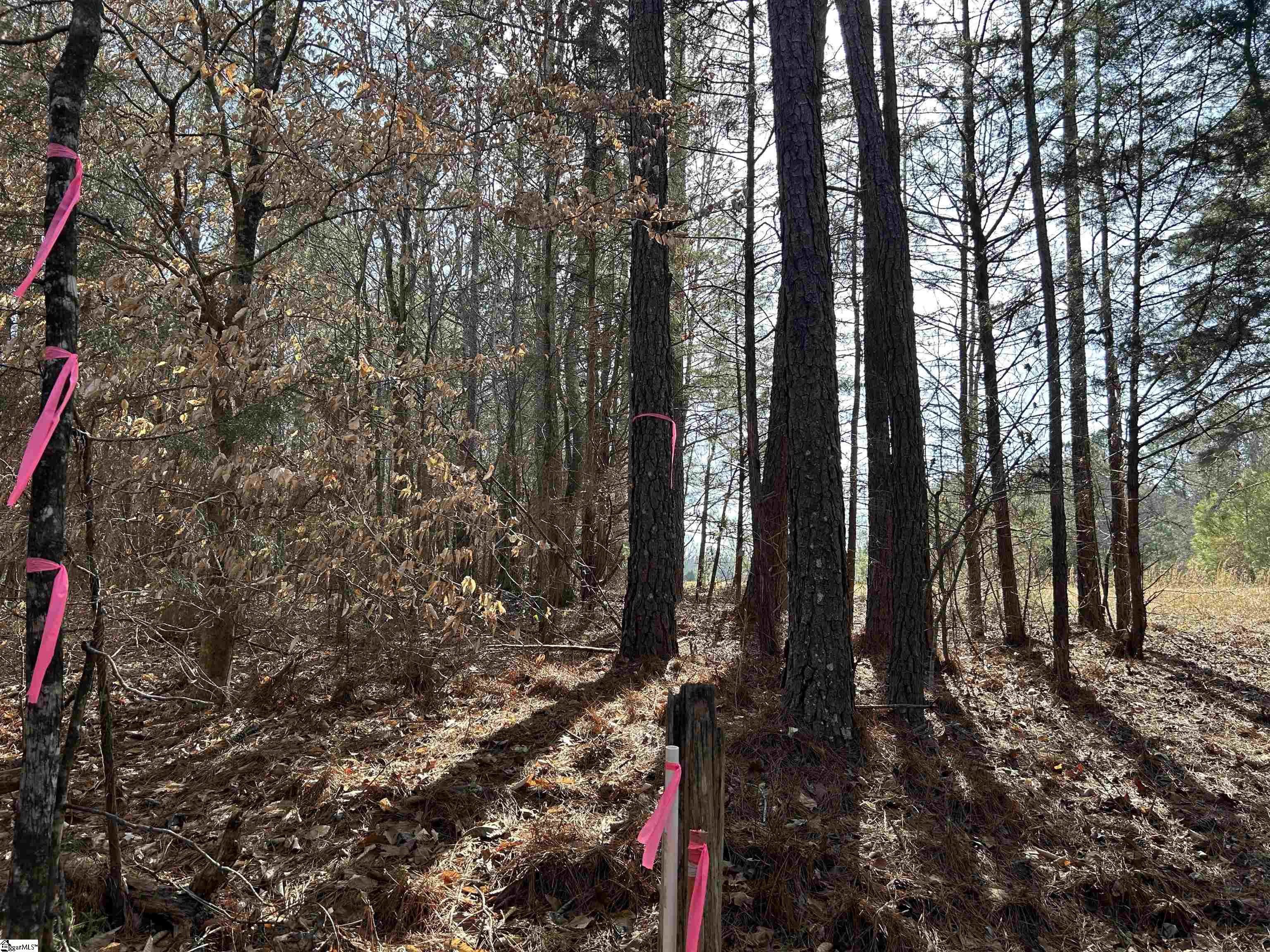 0 Old Goldmine Road Troy, SC 29848 - Photo 14 of 16