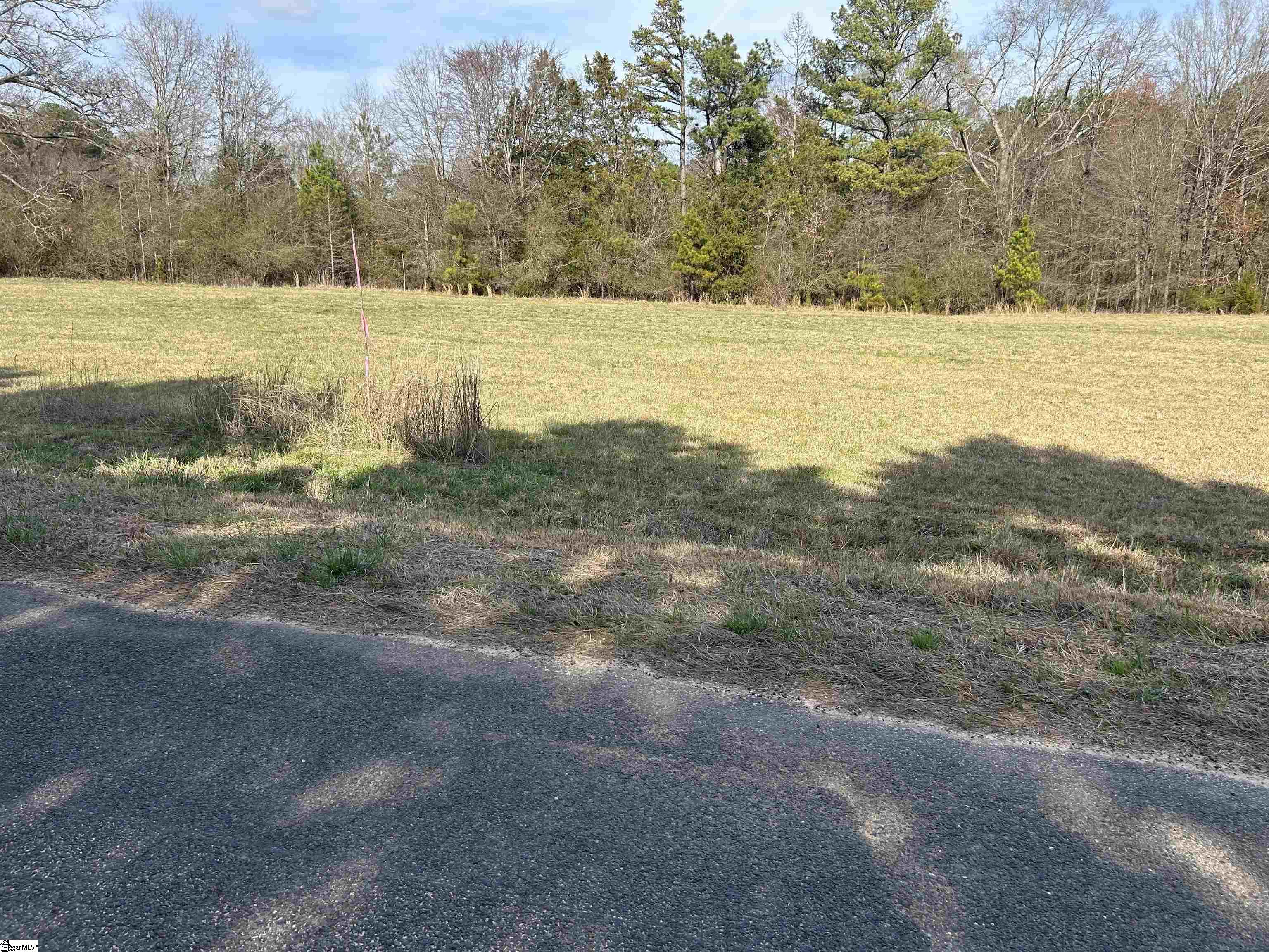 0 Old Goldmine Road Troy, SC 29848 - Photo 2 of 16