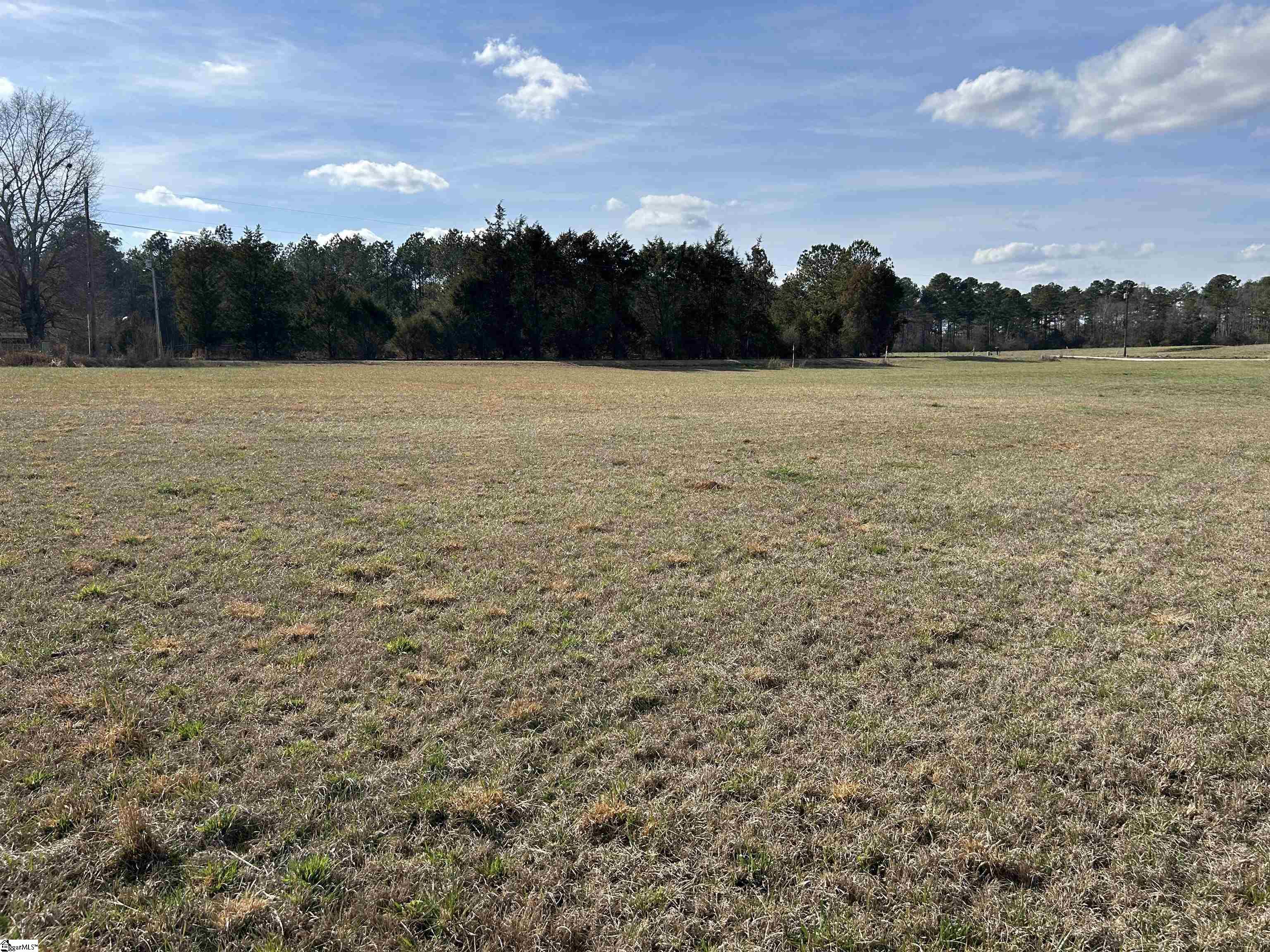 0 Old Goldmine Road Troy, SC 29848 - Photo 5 of 16