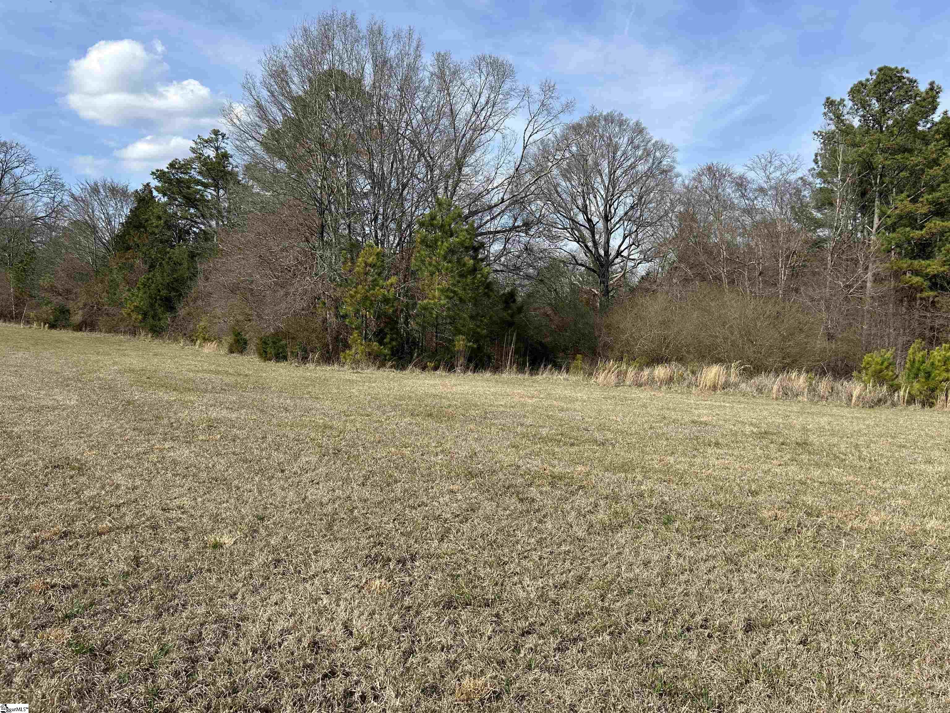 0 Old Goldmine Road Troy, SC 29848 - Photo 7 of 16