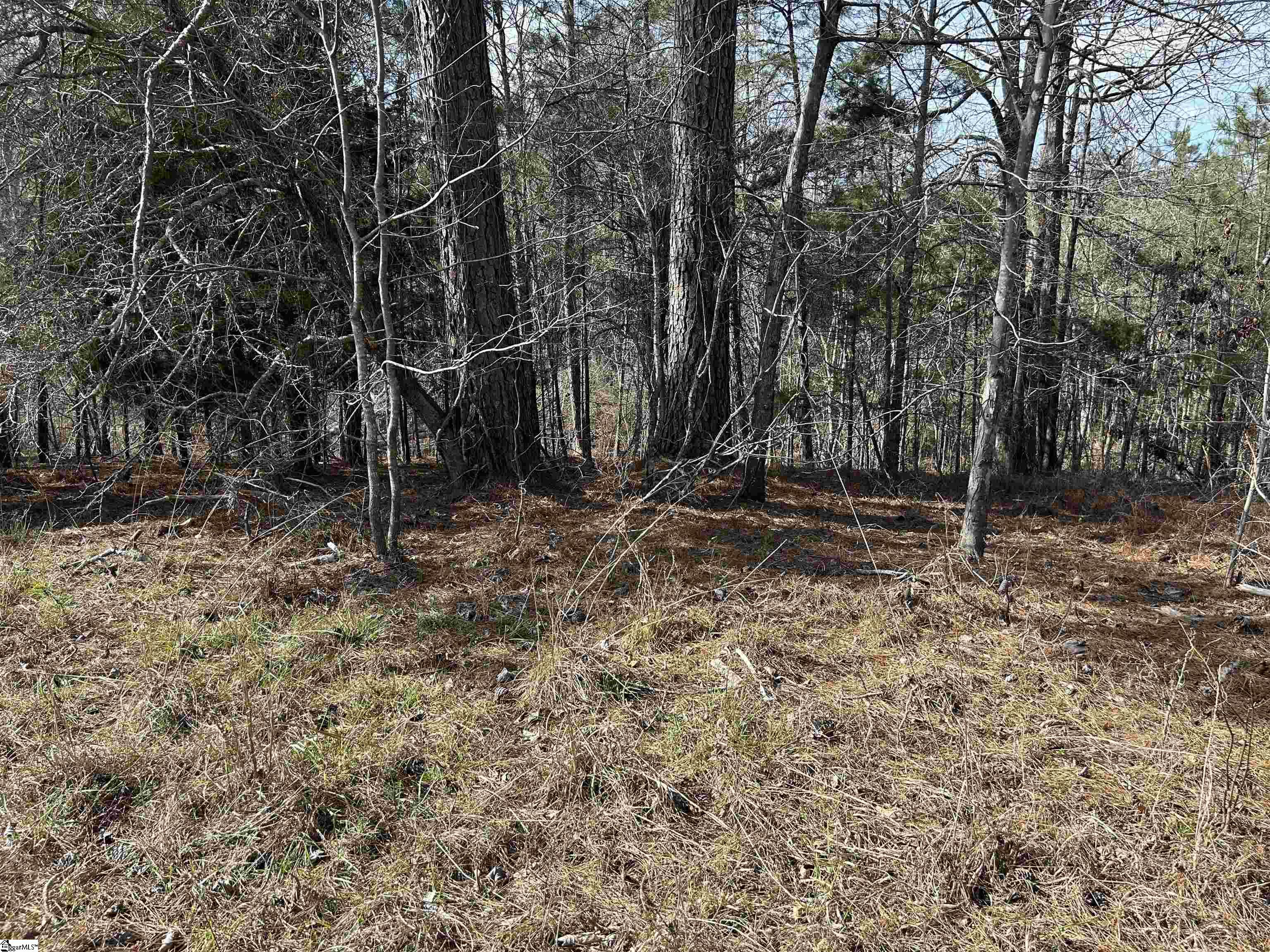 0 Old Goldmine Road Troy, SC 29848 - Photo 10 of 16