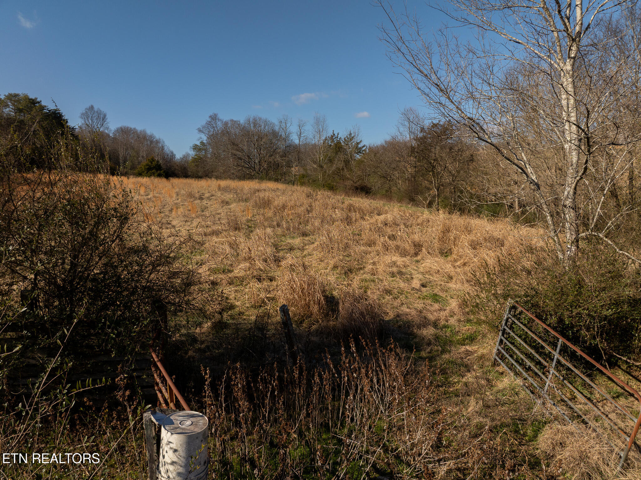 Salem Road Greenback, TN 37742 - Photo 16 of 27 untitled-16