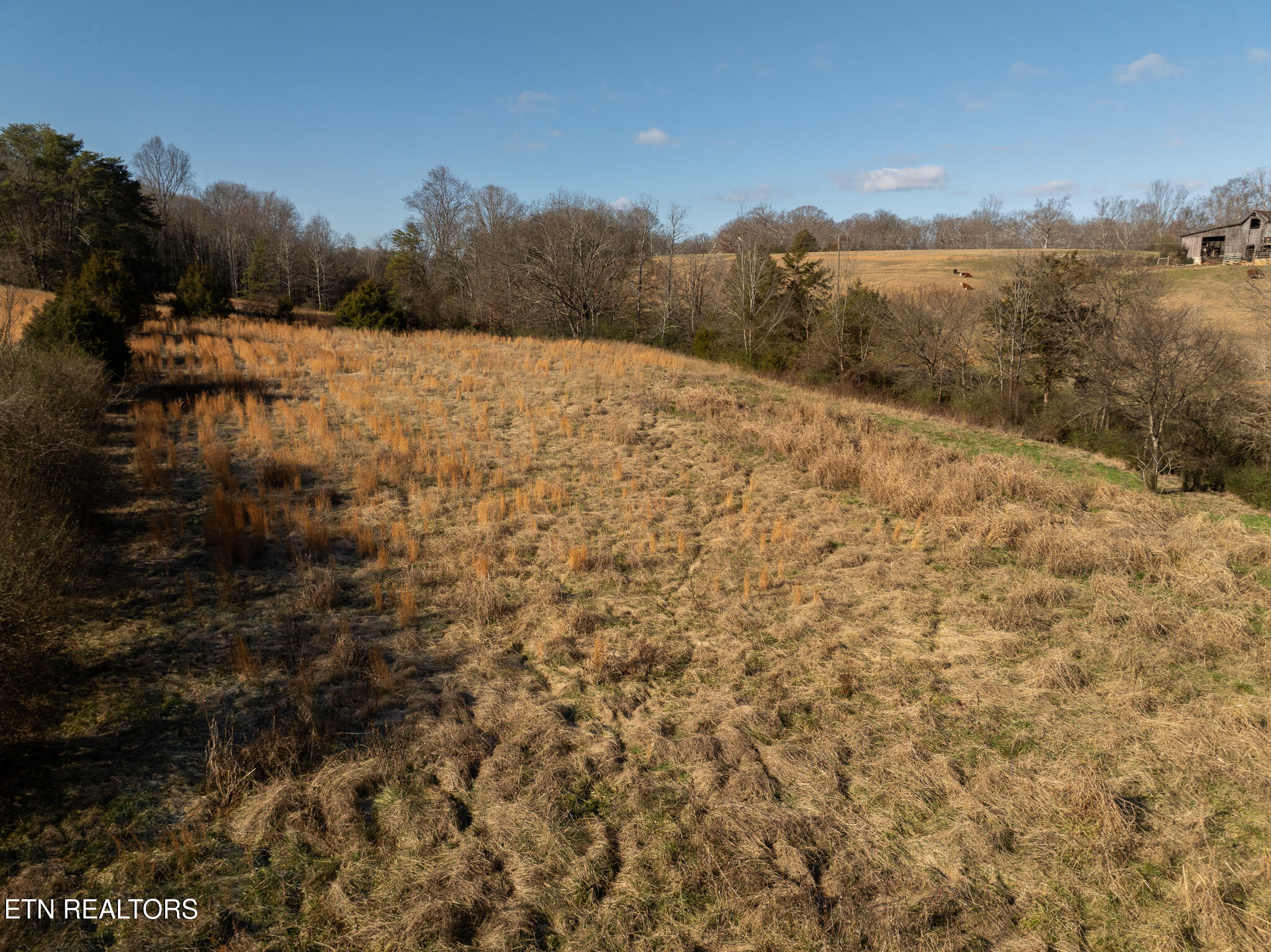 Salem Road Greenback, TN 37742 - Photo 17 of 27 untitled-17
