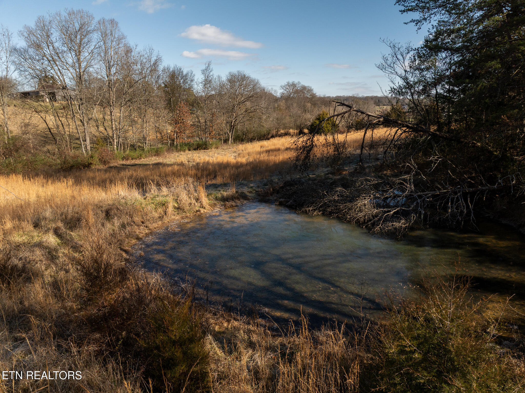 Salem Road Greenback, TN 37742 - Photo 22 of 27 untitled-22
